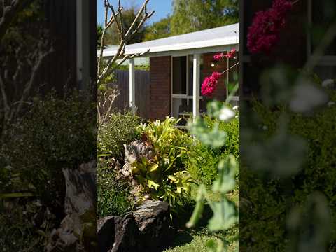 46 Dorson Drive, Mooloolah Valley, QLD 4553, 3 침실, 1 욕실, House