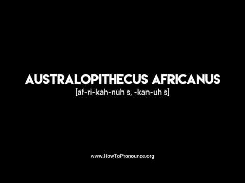 How to Pronounce "australopithecus africanus"