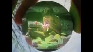 Silent Monster by Camper Van Beethoven