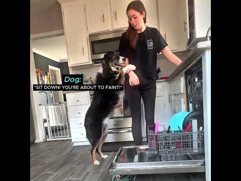 Inspirational Dog Story