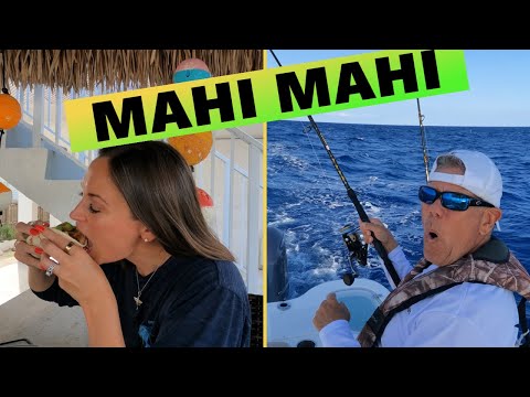 Key Largo Mahi Fishing Solo: Top Tackle Tips & Spicy Recipe