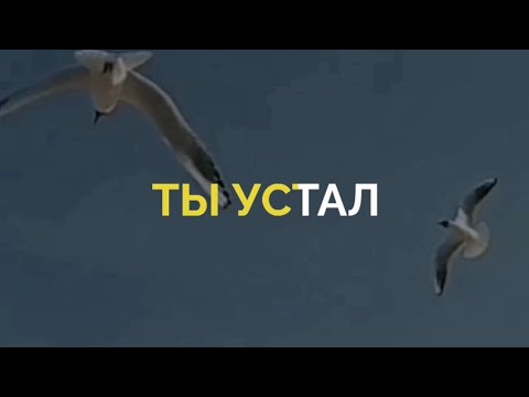 Ты устал / Слова - сериал "Голяк" / Мысли вслух / Атмосферное видео / Эстетика #фразы