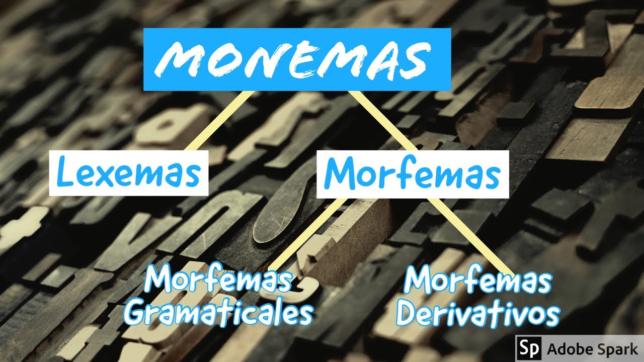 # 1 Monemas: MORFEMAS y LEXEMAS ▶️ (Estructura de las palabras: MORFEMAS y LEXEMAS)