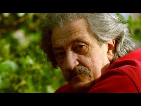 Перо Зубац  - " Гледам те "