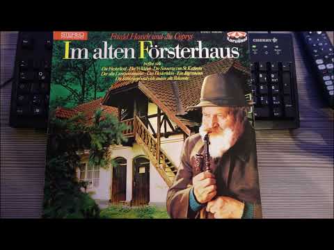 FRIEDEL   HENSCH UND DIE  CYPRYS   im alten försterhaus  28  TITEL   1977