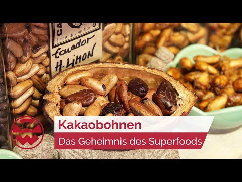 , title : 'Kakaobohnen: Das Geheimnis des Superfoods - GenussMomente | Welt der Wunder'