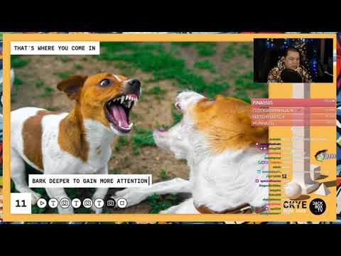 VAs play Talking Points - Nabiru