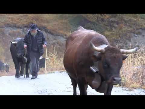 La desarpa di Don Giuliano Reboulaz, un quadro di Cesare Maggi