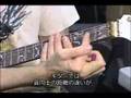 Steve Vai - True Temperament