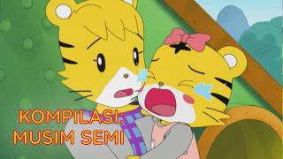 Kompilasi: Musim Semi | Kartun Anak Bahasa Indonesia | Shimajiro Indonesia