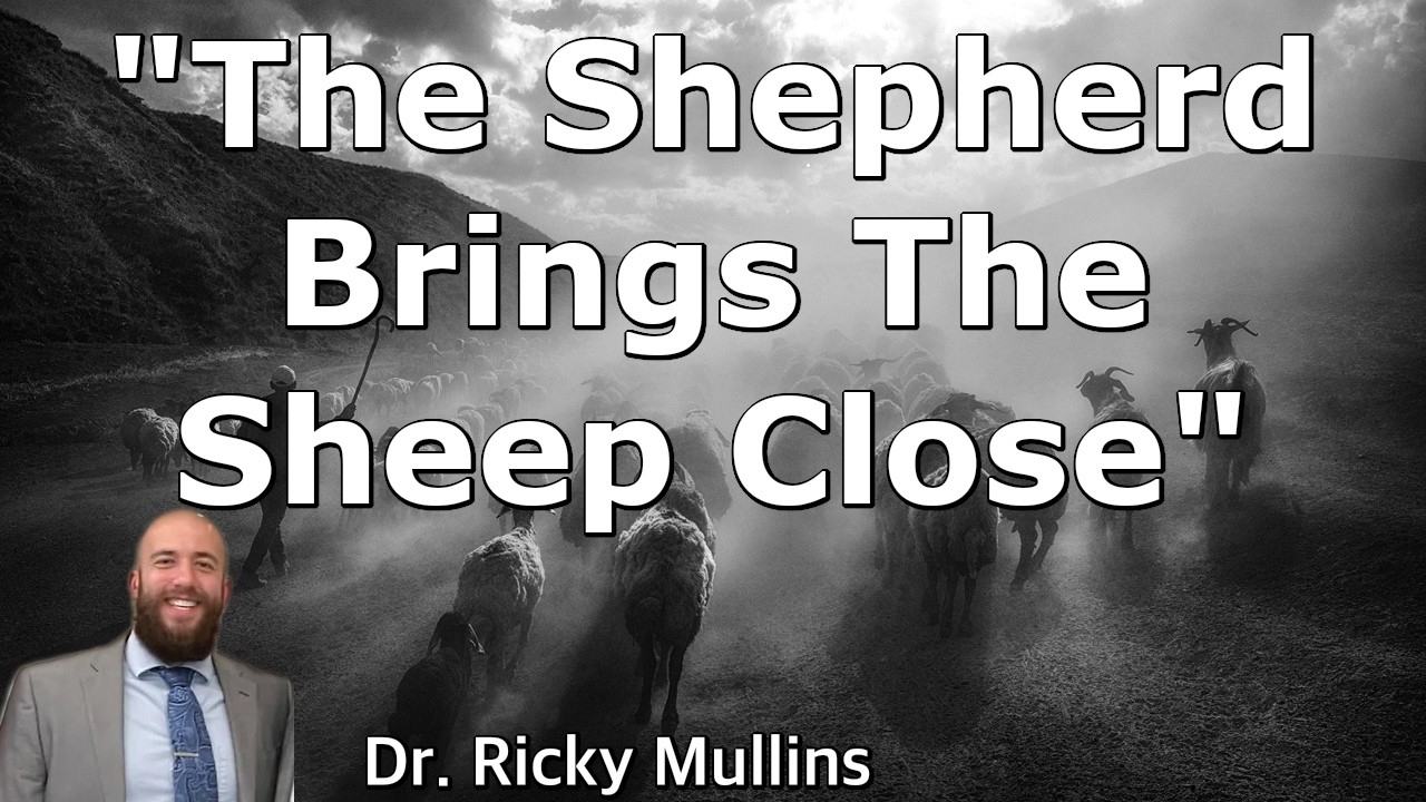The Shepherd Brings The Sheep Close