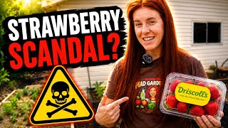 What’s On Your Strawberries?