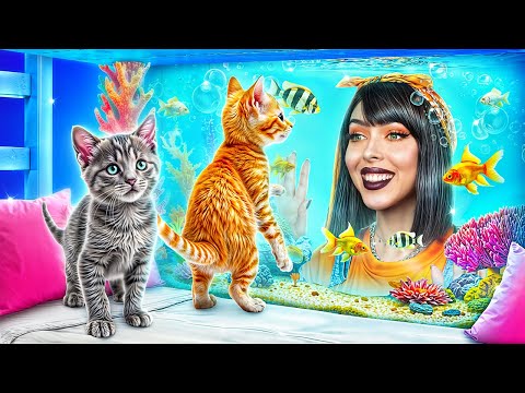 We're building a bunk bed for cats!