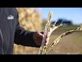 How Cargill Helps Feed The World Inside The Global Food System