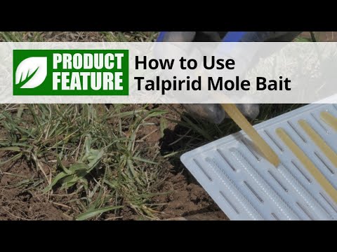  Talpirid Mole Bait Video 