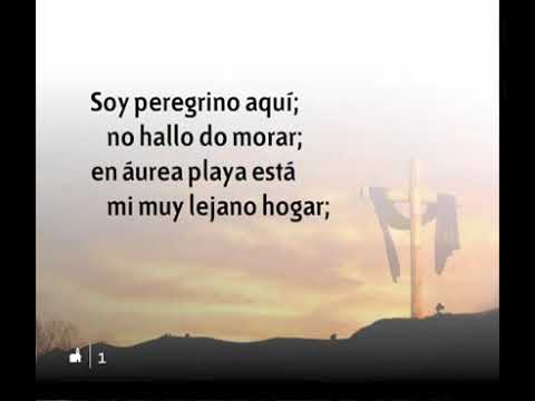 551 Embajador Soy De Mi Rey