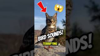 Download lagu TOP 5 MOST TERRIFYING Bird Sounds! mp3