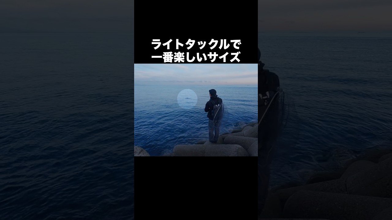 ライトタックルで一番楽しいサイズ。