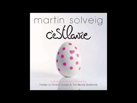 Martin Solveig - I Want You (Radio Edit)