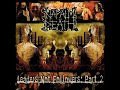 Napalm Death - Riot Of Violence ( Kreator cover )