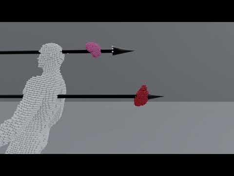 We're Simulating Human Organs: Episode 4 - What's Inside?