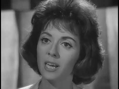 The Saint    2x04    Teresa