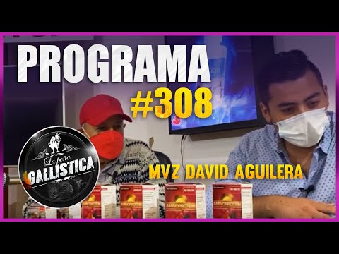 PROGRAMA 308 - MVZ DAVID AGUILERA