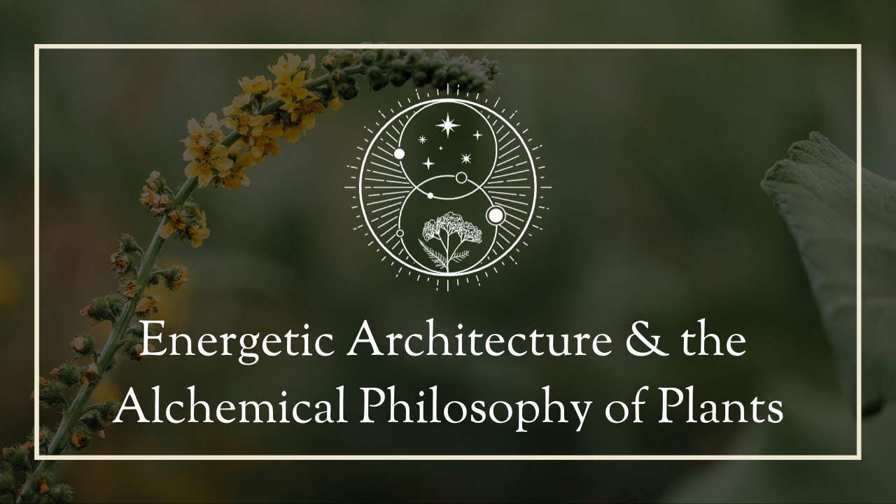 Energetic Architecture & the Alchemical Philosophy of Plants - YouTube