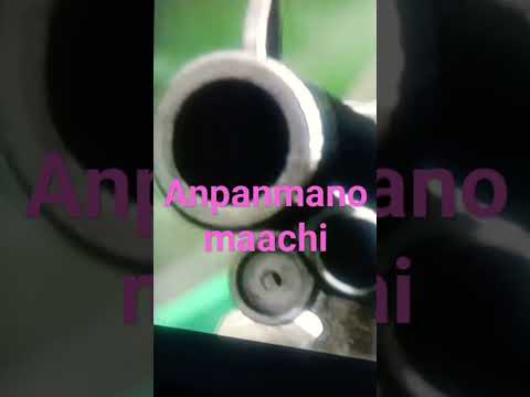 alguien se hizo pipí en la alberca 👙 #www #humor #halloween #music #xd #voiceeffects #wizardofoz