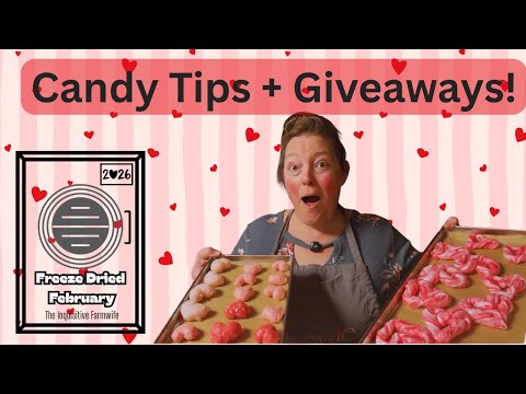 Valentine’s Day Freeze-Dried Candy Secrets 🍬 Shaping, Molding & Sweet Wins!