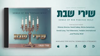רבי פנחס וולף מציג: שרי שבת [דגימה קולית]
