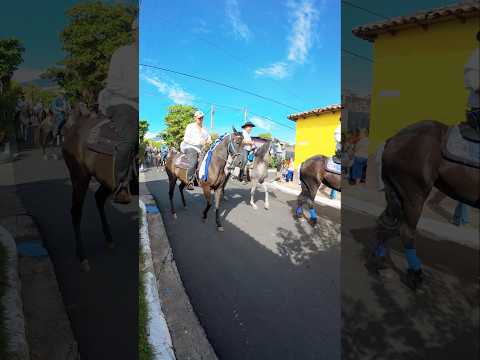 Desfile Hípico caballos de alta escuela, San Rafael Obrajuelo #elsalvador #caballos #turismo #fyp