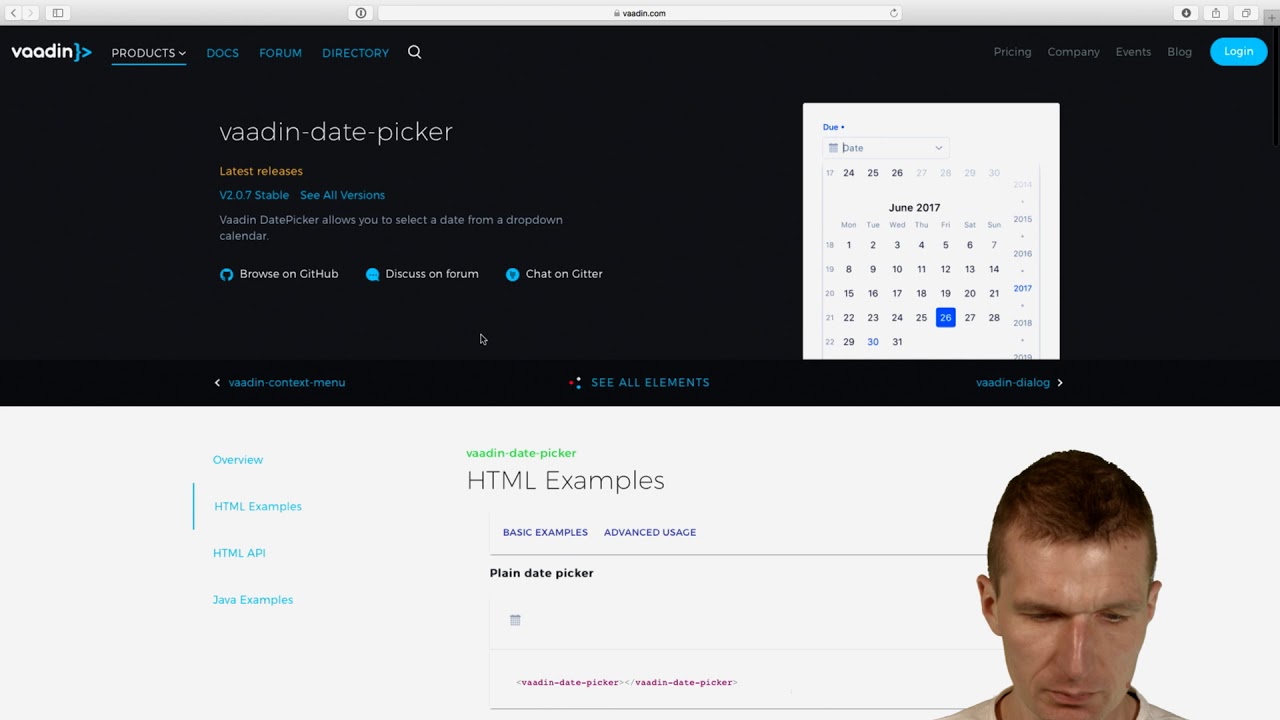 Using a DatePicker WebComponent