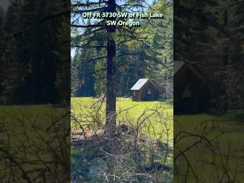 185 Accessing a SW Oregon Cabin in the Woods #Battery Chainsaw #wildfire