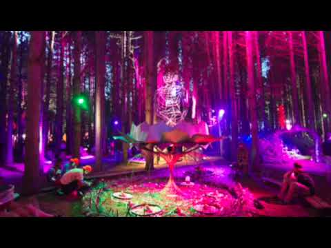 DJ Ande Volume 7 - Old Skool Jungle Drum n Bass - Karma Recordings