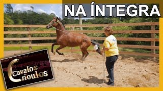 Miniatura do vídeo