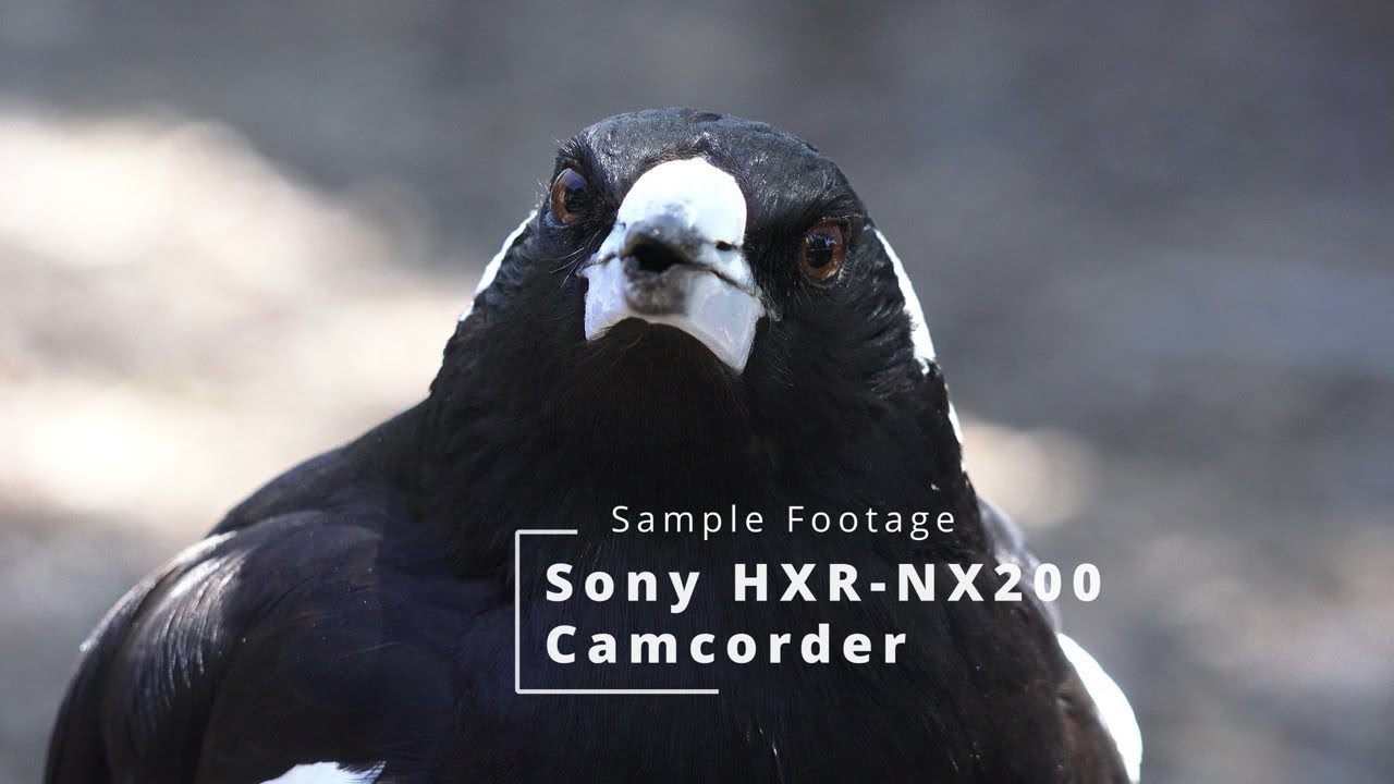 Sony HXR-NX200 Test Footage