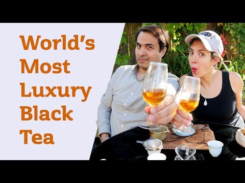 WORLD'S MOST LUXURY BLACK TEA - Jin Jun Mei