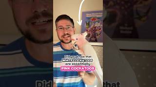 White Cockatoos Came from Pink Cockatoos??