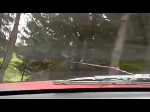 offroad Бели Искър 2023