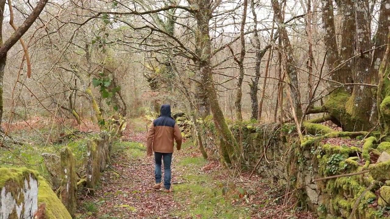 Зеркальный фотоаппарат Canon EOS 750D kit 18-55 IS STM X3504