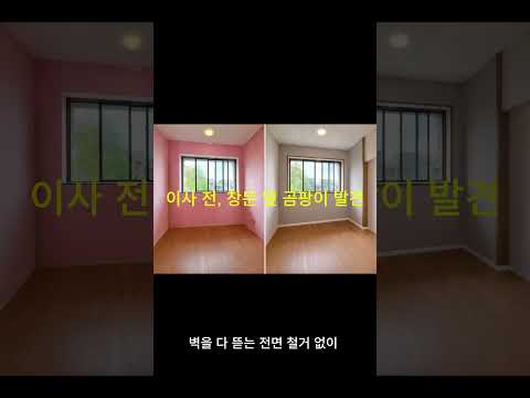 파주 헤르만하우스 곰팡이 보강
