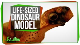 A Scientifically Accurate, Life-Sized Dinosaur Model