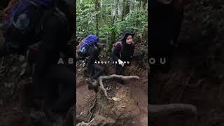 Download lagu Story pendaki Gunung mp3