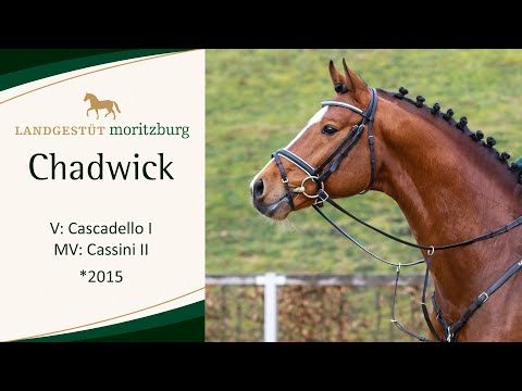 CHADWICK v. Cascadello l - Cassini ll