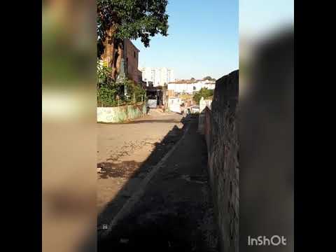 Honda vive muito 😍