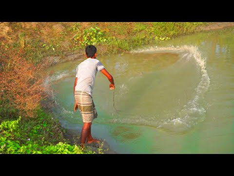 Net Fishing | Most Satisfying Cast Net Fishing Video - Traditional Net Catch Fishing in The River