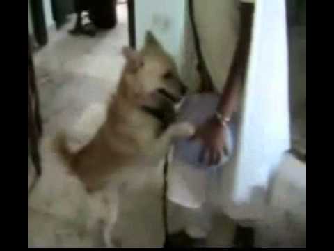 TOMY PLAYING FOOT BALL PART-1.wmv