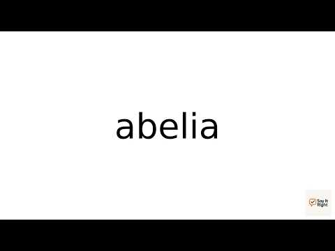 How To Pronounce abelia