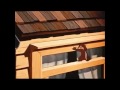 The Best Chip And Dale Cartoon Complication 3 Full HD